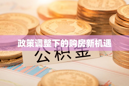 解读政策调整下的购房新机遇