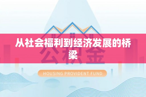 解读从社会福利到经济发展的桥梁