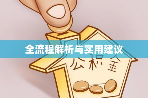 解读全流程解析与实用建议