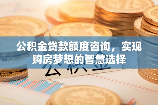 解读公积金贷款额度咨询，实现购房梦想的智慧选择