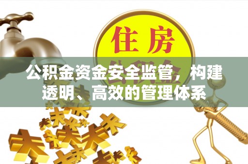 解读公积金资金安全监管，构建透明、高效的管理体系