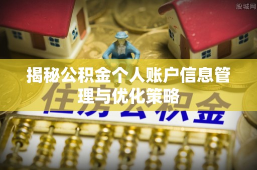 解读揭秘公积金个人账户信息管理与优化策略