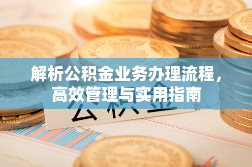 解读解析公积金业务办理流程，高效管理与实用指南