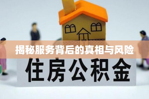 解读揭秘服务背后的真相与风险