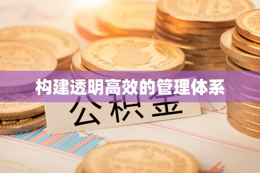 解读构建透明高效的管理体系