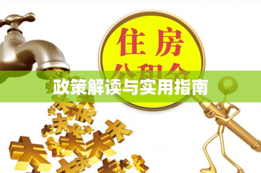 解读政策解读与实用指南