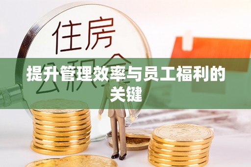 解读提升管理效率与员工福利的关键