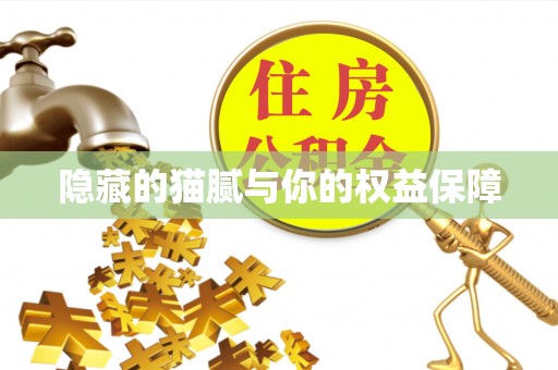 解读隐藏的猫腻与你的权益保障