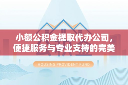 解读小额公积金提取代办公司，便捷服务与专业支持的完美结合