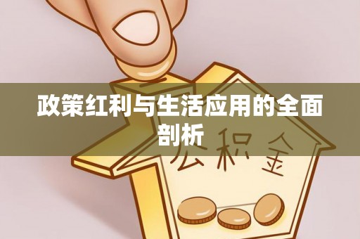 解读政策红利与生活应用的全面剖析
