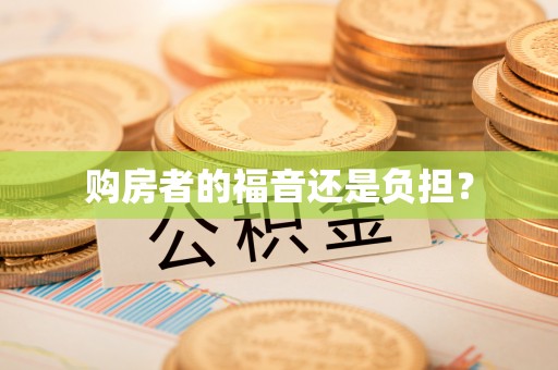 解读购房者的福音还是负担？