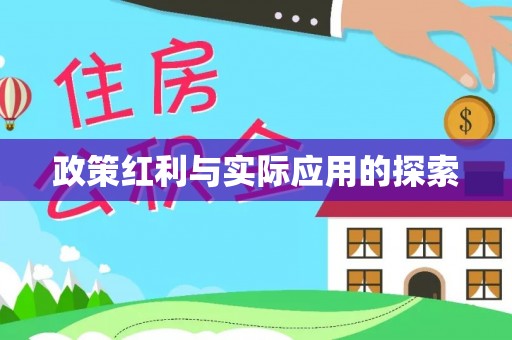 解读政策红利与实际应用的探索