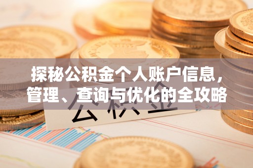 解读探秘公积金个人账户信息，管理、查询与优化的全攻略