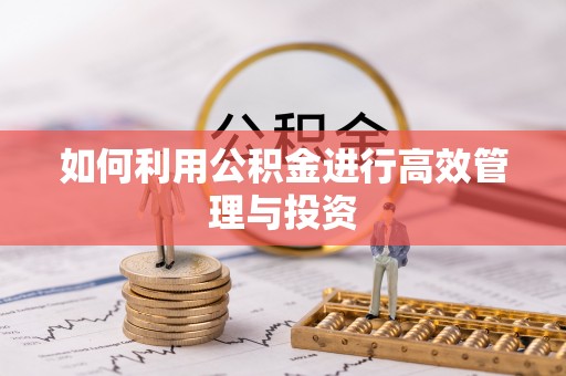 解读如何利用公积金进行高效管理与投资