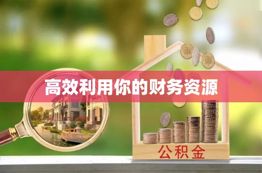 解读高效利用你的财务资源