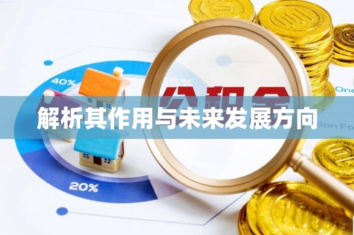 解读解析其作用与未来发展方向