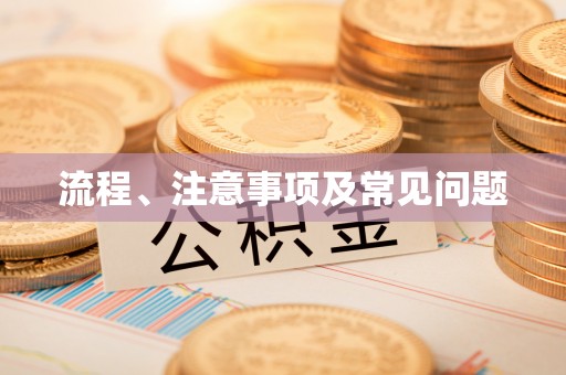 解读流程、注意事项及常见问题