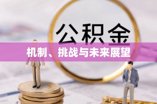 解读机制、挑战与未来展望