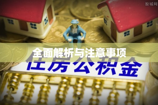 解读全面解析与注意事项