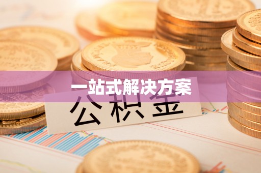 解读一站式解决方案