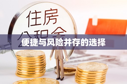 解读便捷与风险并存的选择